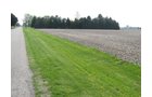 Property photo 19 - 172 Acres Offered in 3 Tracts - Prime Farmland